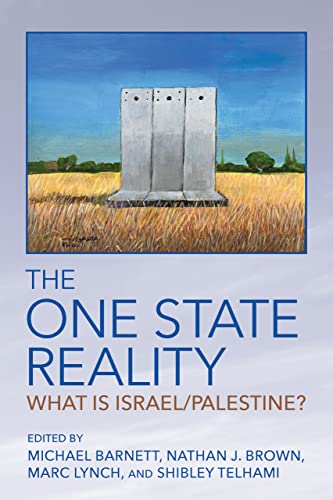 Beispielbild fr The One State Reality: What Is Israel/Palestine? zum Verkauf von SecondSale