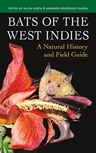 Stock image for Bats of the West Indies: A Natural History and Field Guide for sale by WorldofBooks