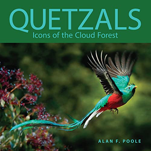 Stock image for Quetzals for sale by Blackwell's
