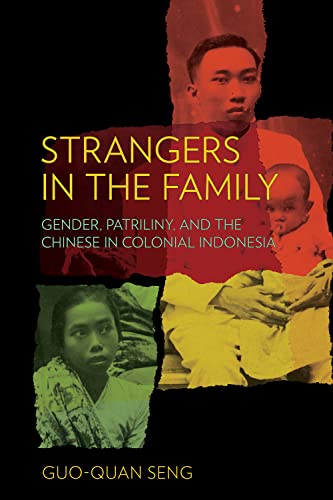 Imagen de archivo de Strangers in the Family: Gender, Patriliny, and the Chinese in Colonial Indonesia a la venta por Goodbooks Company