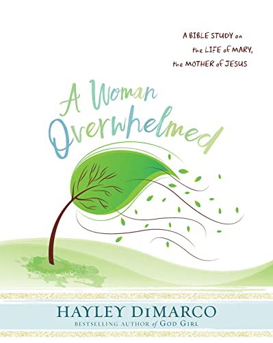 Stock image for Woman Overwhelmed Participant Workbook (A Woman Overwhelmed) for sale by Your Online Bookstore