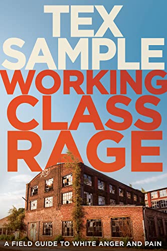 Stock image for Working Class Rage: A Field Guide to White Anger and Pain for sale by HPB-Diamond