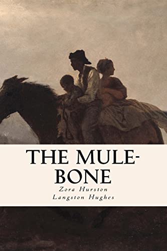Stock image for The Mule-Bone for sale by Lucky's Textbooks