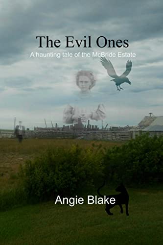 9781502353405: The Evil Ones
