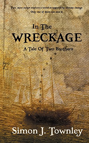 Imagen de archivo de In the Wreckage: A Tale of Two Brothers a la venta por Revaluation Books