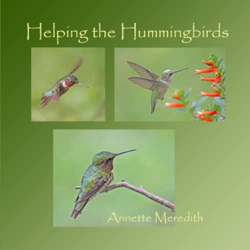 Stock image for Helping the Hummingbirds for sale by Revaluation Books