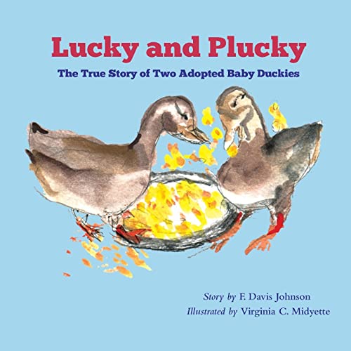 Stock image for Lucky and Plucky: The True Story of Two Adopted Baby Duckies for sale by Hippo Books