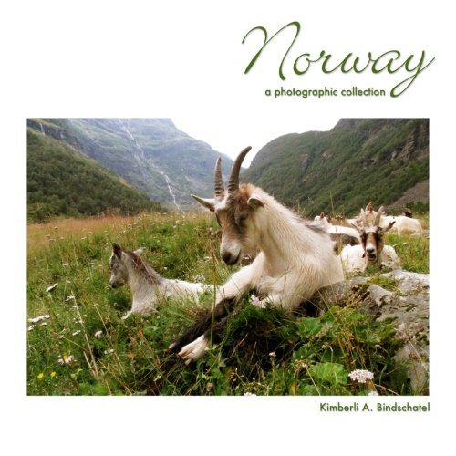 Stock image for Norway: a photographic collection for sale by Revaluation Books