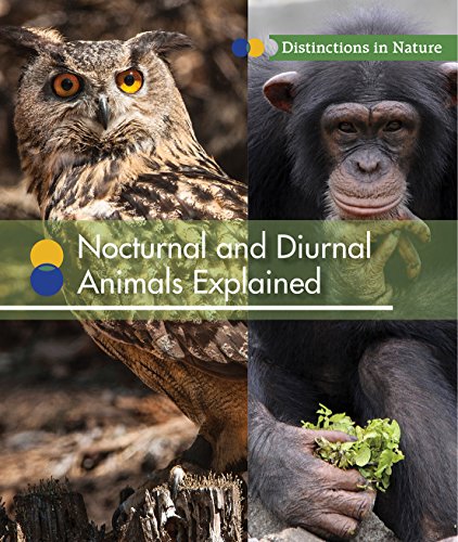 9781502621757: Nocturnal and Diurnal Animals Explained (Distinctions in Nature)