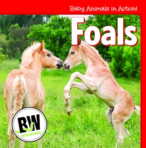 Stock image for Foals for sale by ThriftBooks-Atlanta