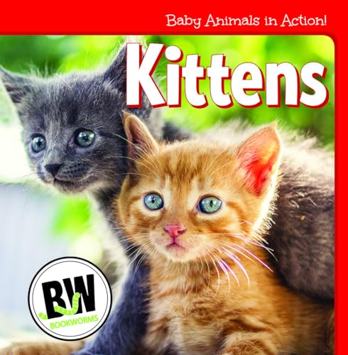Stock image for Kittens (Baby Animals in Action!; Bookworms) [Soft Cover ] for sale by booksXpress