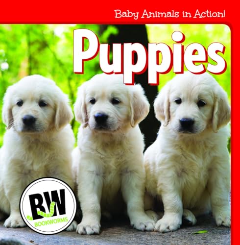 Stock image for Puppies (Baby Animals in Action!) for sale by Lucky's Textbooks