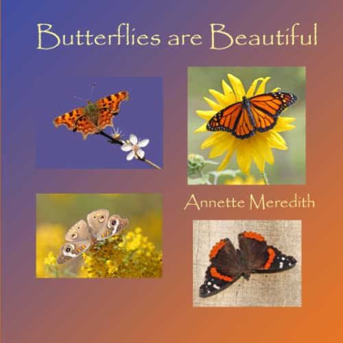Stock image for Butterflies are Beautiful (Nature on Our Doorstep) for sale by Revaluation Books