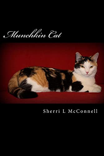Imagen de archivo de Munchkin Cat a la venta por Lucky's Textbooks
