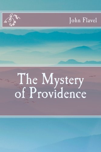 Beispielbild fr The Mystery of Providence zum Verkauf von BooksRun