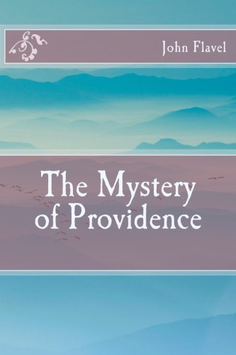 Stock image for The Mystery of Providence for sale by BooksRun