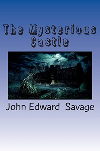 Imagen de archivo de The Mysterious Castle a la venta por ALLBOOKS1