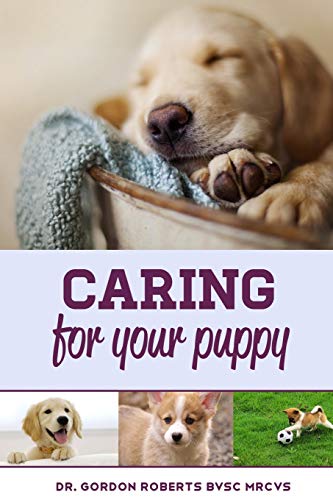 Stock image for Caring for Your Puppy: How to care for your puppy and everything you need to know to keep them well. for sale by THE SAINT BOOKSTORE