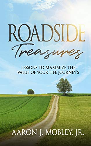 Beispielbild fr Roadside Treasures: Lessons to maximze the value of your life's journey's zum Verkauf von THE SAINT BOOKSTORE