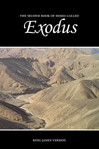 Stock image for Exodus for sale by Revaluation Books