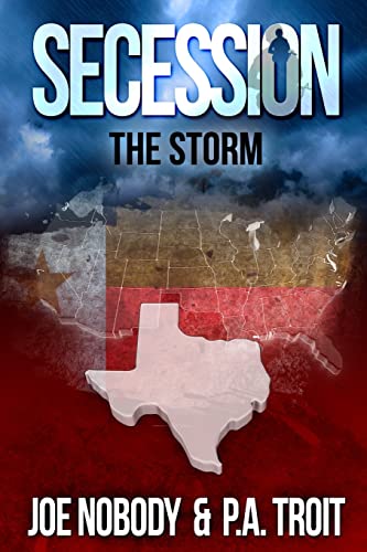 Stock image for Secession: The Storm for sale by HPB Inc.