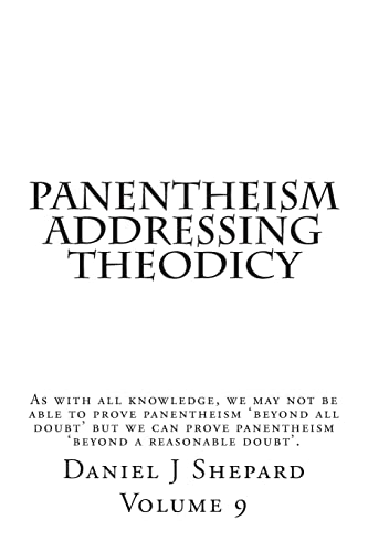 Imagen de archivo de Panentheism Addressing Theodicy a la venta por Lucky's Textbooks