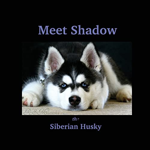 Beispielbild fr Meet Shadow the Siberian Husky: Meet Shadow: Volume 1 zum Verkauf von WorldofBooks