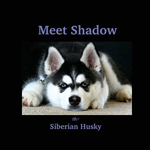 9781503097537: Meet Shadow the Siberian Husky: Meet Shadow: Volume 1