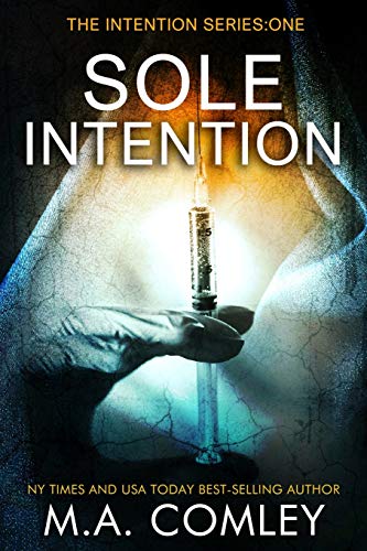Beispielbild fr Sole Intention: Volume 1 (Intention series #1) zum Verkauf von WorldofBooks