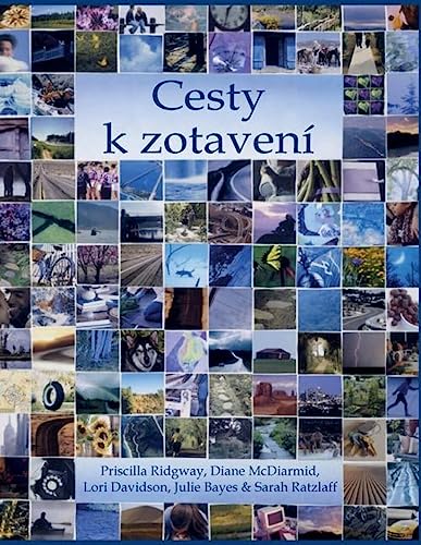 Beispielbild fr Cesty K Zotaven (Czech Edition) zum Verkauf von California Books