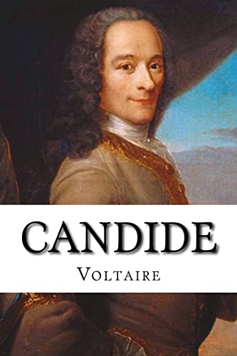 Stock image for Candide for sale by Jenson Books Inc