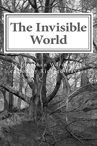 Stock image for The Invisible World: Lectures on British Romantic Poetry and the Romantic Imagination for sale by Lucky's Textbooks