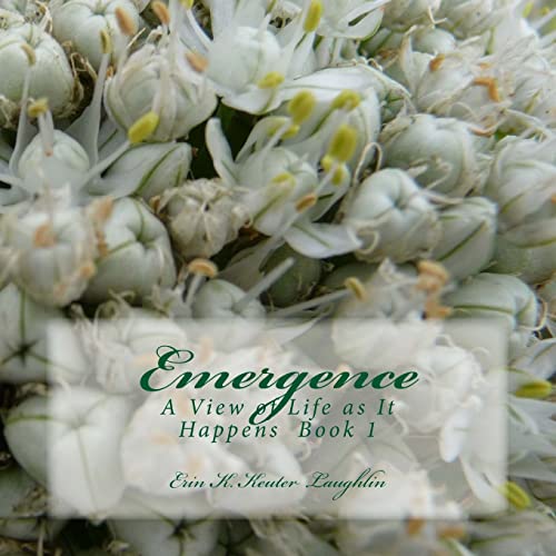 Stock image for Emergence: A View of Life as it Happens Book 1 for sale by THE SAINT BOOKSTORE