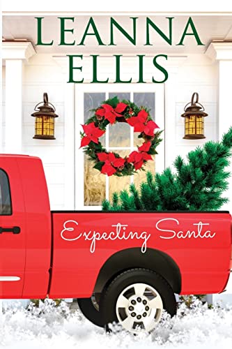 Stock image for Expecting Santa for sale by Lucky's Textbooks