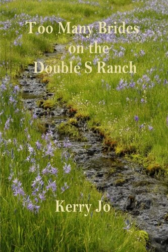 Stock image for Too Many Brides on the Double S Ranch (Seth) for sale by Irish Booksellers