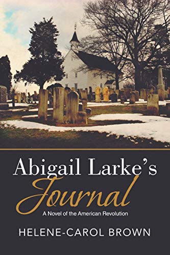Beispielbild fr Abigail Larke's Journal zum Verkauf von Lucky's Textbooks