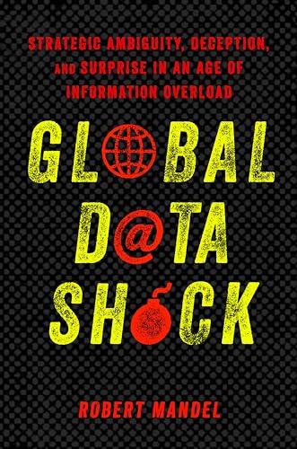 9781503608252: Global Data Shock: Strategic Ambiguity, Deception, and Surprise in an Age of Information Overload