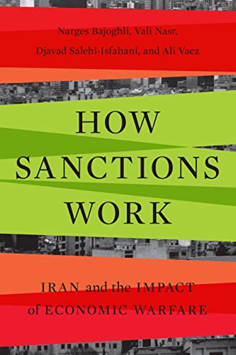 Imagen de archivo de How Sanctions Work a la venta por Blackwell's