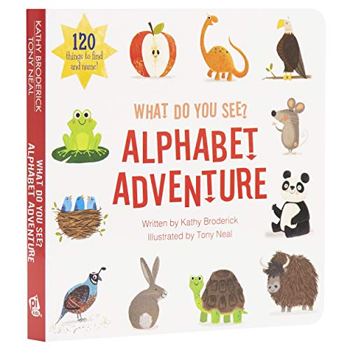 Beispielbild fr What Do You See Alphabet Adventure - Look and Find Activity Book - PI Kids zum Verkauf von ZBK Books