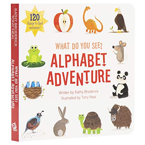 9781503752283: Alphabet Adventure: What Do You See?