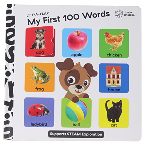 Imagen de archivo de Baby Einstein Lift A Flap My First 100 Words Novelty Board Book a la venta por PBShop.store US