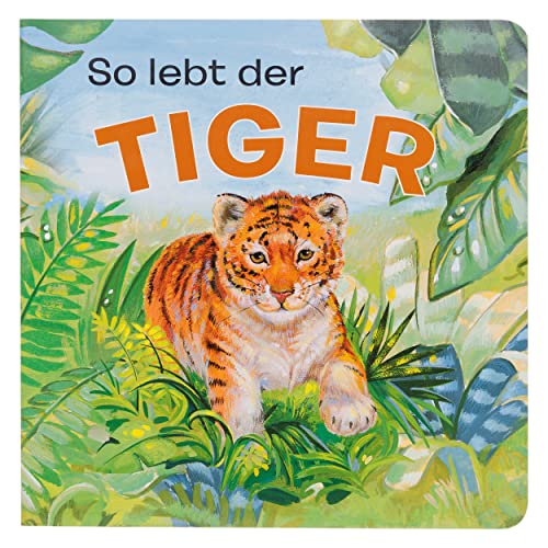 Stock image for Tierkindergeschichten - So lebt der Tiger - Pappbilderbuch mit farbigen Illustrationen fr Kinder ab 18 Monaten for sale by medimops