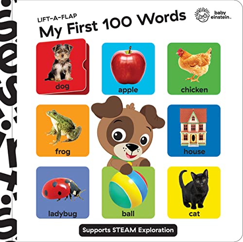 Imagen de archivo de Baby Einstein: My First 100 Words: Lift-A-Flap a la venta por GreatBookPrices