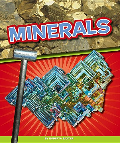 Beispielbild fr Minerals zum Verkauf von Better World Books