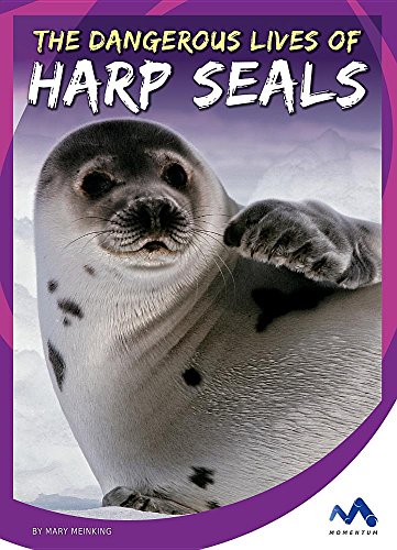 Beispielbild fr The Dangerous Lives of Harp Seals zum Verkauf von Better World Books