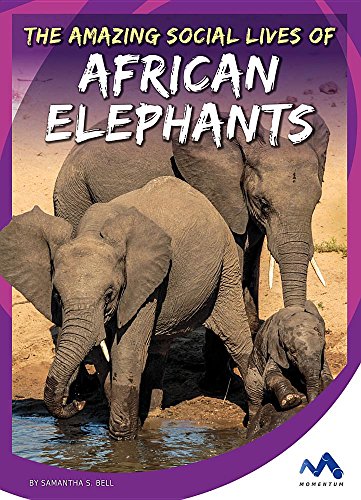 Stock image for The Amazing Social Lives of African Elephants for sale by Better World Books