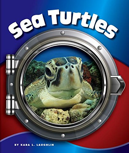 Beispielbild fr Sea Turtles zum Verkauf von Better World Books