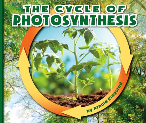 Beispielbild fr The Cycle of Photosynthesis zum Verkauf von Better World Books