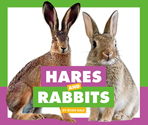 Stock image for Hares and Rabbits (Comparing Animal Differences) [No Binding ] for sale by booksXpress