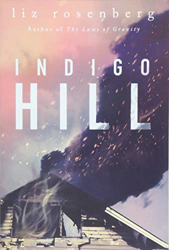 Imagen de archivo de Indigo Hill : A Novel a la venta por Better World Books